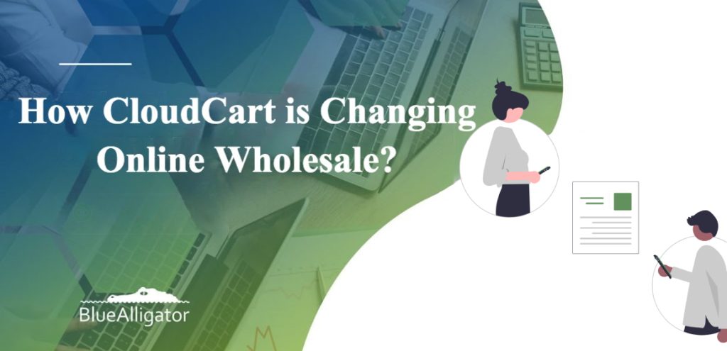 How CloudCart is Changing Online Wholesale pic